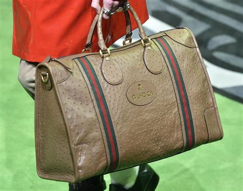wie sieht gucci aus